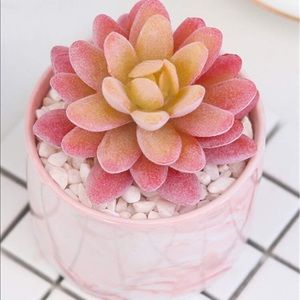 Faux Pink Succulent